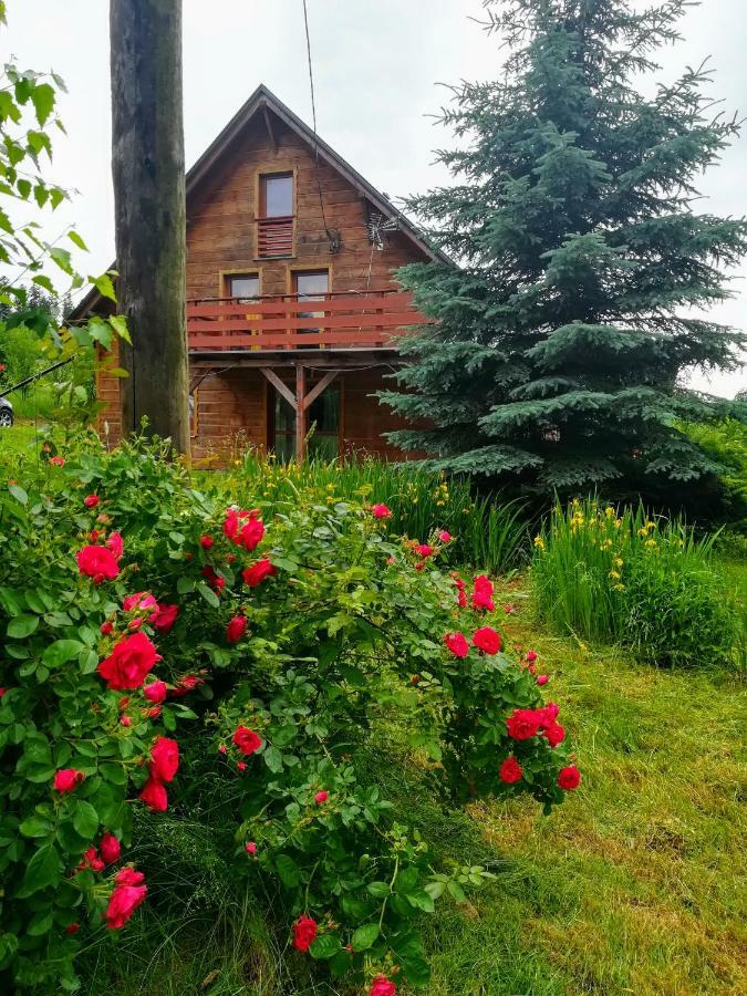 Dom Ignacy Apartman Radochow Kültér fotó